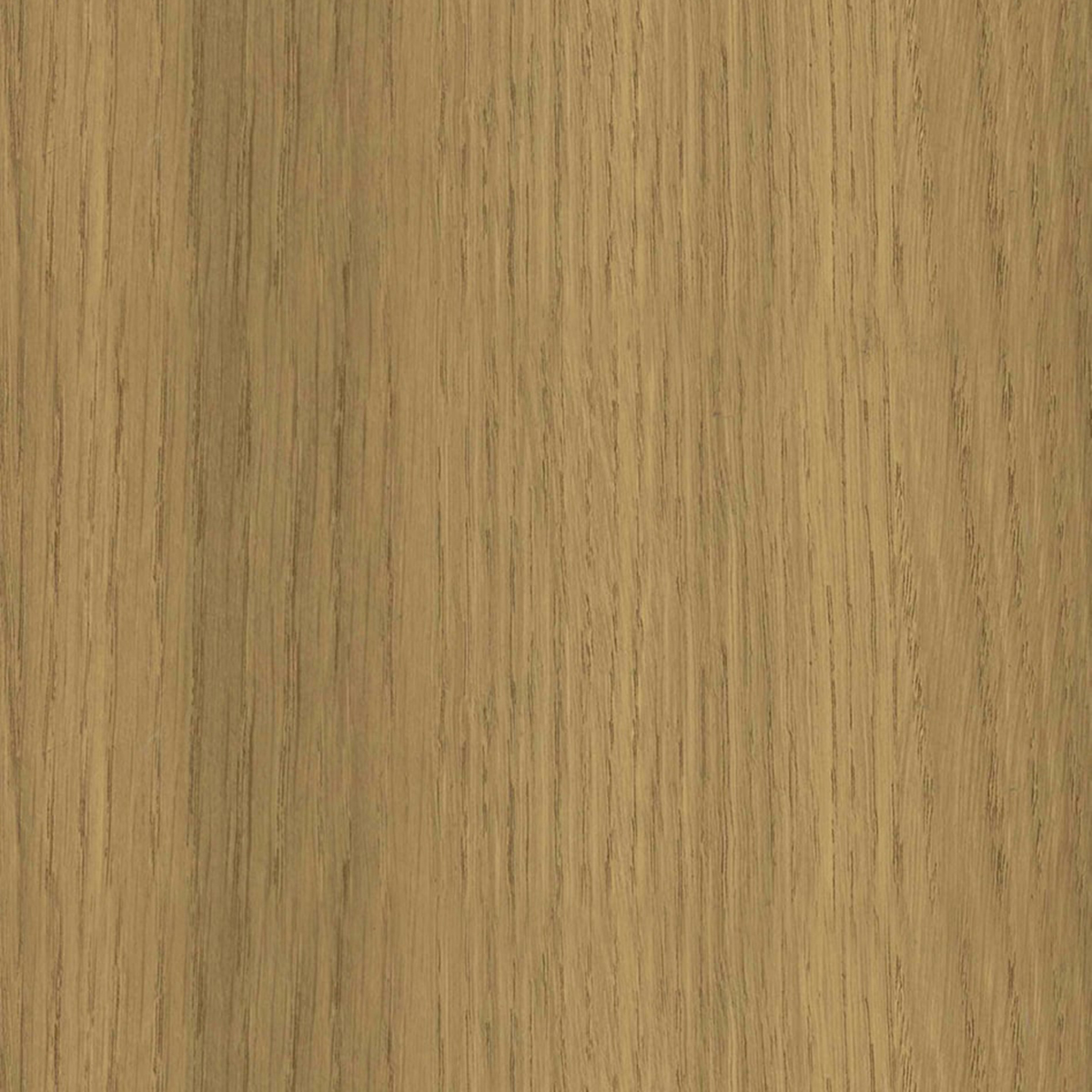 Painel Freijo Liso